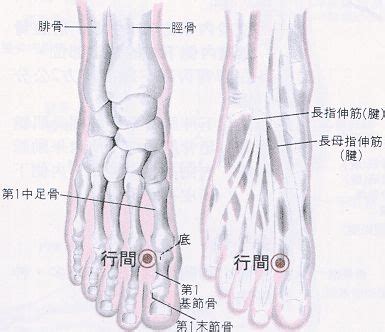 地經穴|醫砭 » 經穴庫 » 地機